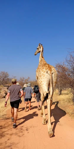 Reiser for de mellom 18-30