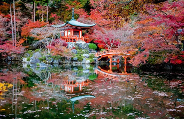 Japan er en fascinerende destinasjon som tilbyr en unik blanding av tradisjon og innovasjon. Dett...