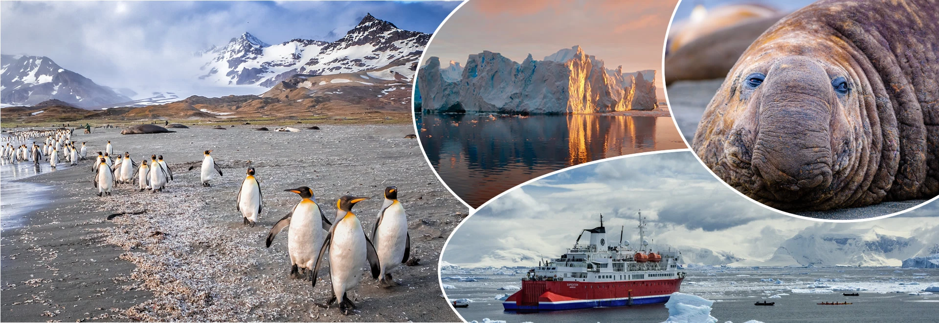 Arktis & Antarktis